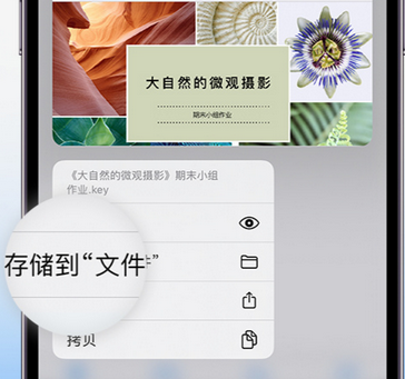 康马apple维修中心分享iPhone文件应用中存储和找到下载文件