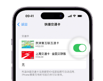 康马apple维修点分享iPhone上更换Apple Pay快捷交通卡手绘卡面 