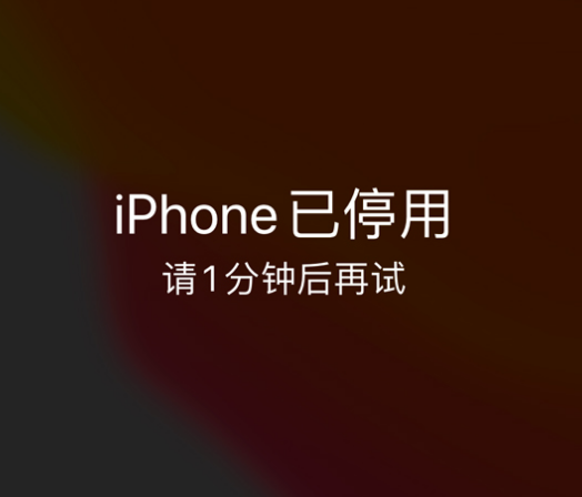 康马苹果手机维修分享:iPhone 显示“不可用”或“已停用”怎么办？还能保留数据吗？ 