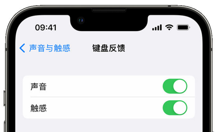 康马苹果手机维修分享iPhone 14触感键盘使用方法 