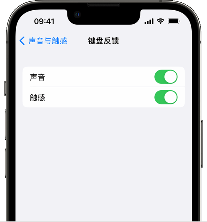 康马苹果14维修店分享如何在 iPhone 14 机型中使用触感键盘 