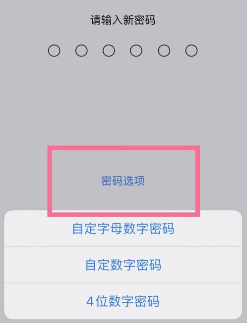 康马苹果14维修分享iPhone 14plus设置密码的方法 