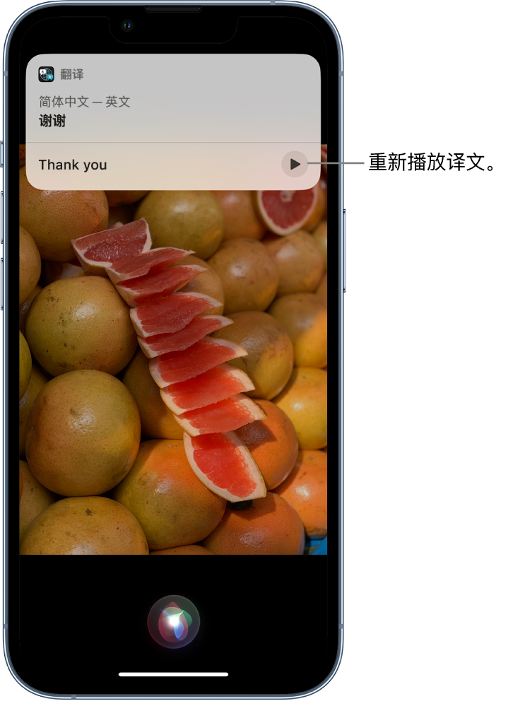 康马苹果14维修分享 iPhone 14 机型中使用 Siri：了解 Siri 能帮你做什么 