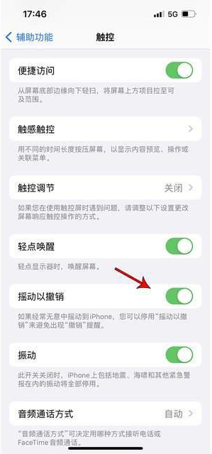 康马苹果手机维修分享iPhone手机如何设置摇一摇删除文字 