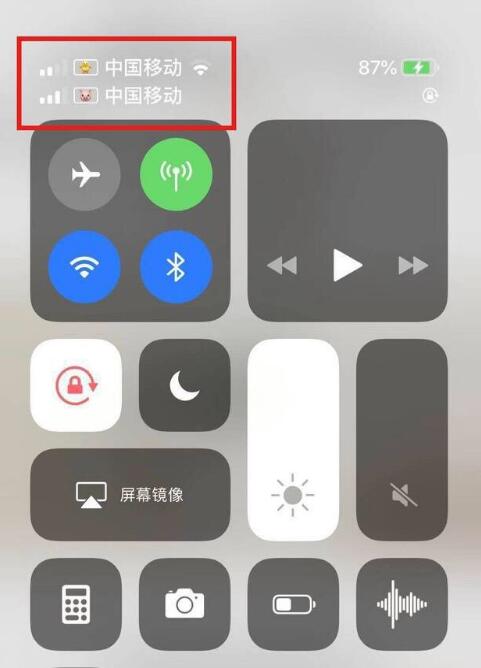 康马苹果手机维修分享为 iPhone 12 双卡设置标签 