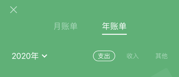 康马苹果手机维修分享如何在 iPhone 上查看支付宝和微信年支出账单 
